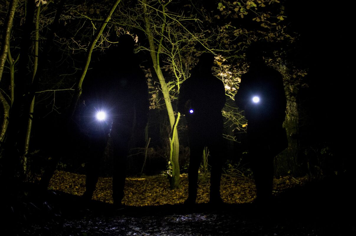 avond dropping veluwe