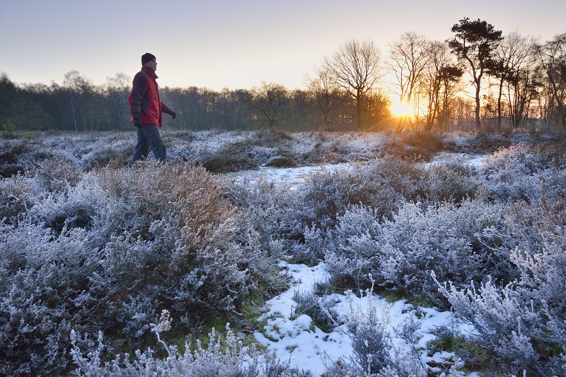 Natuurgids Veluwe