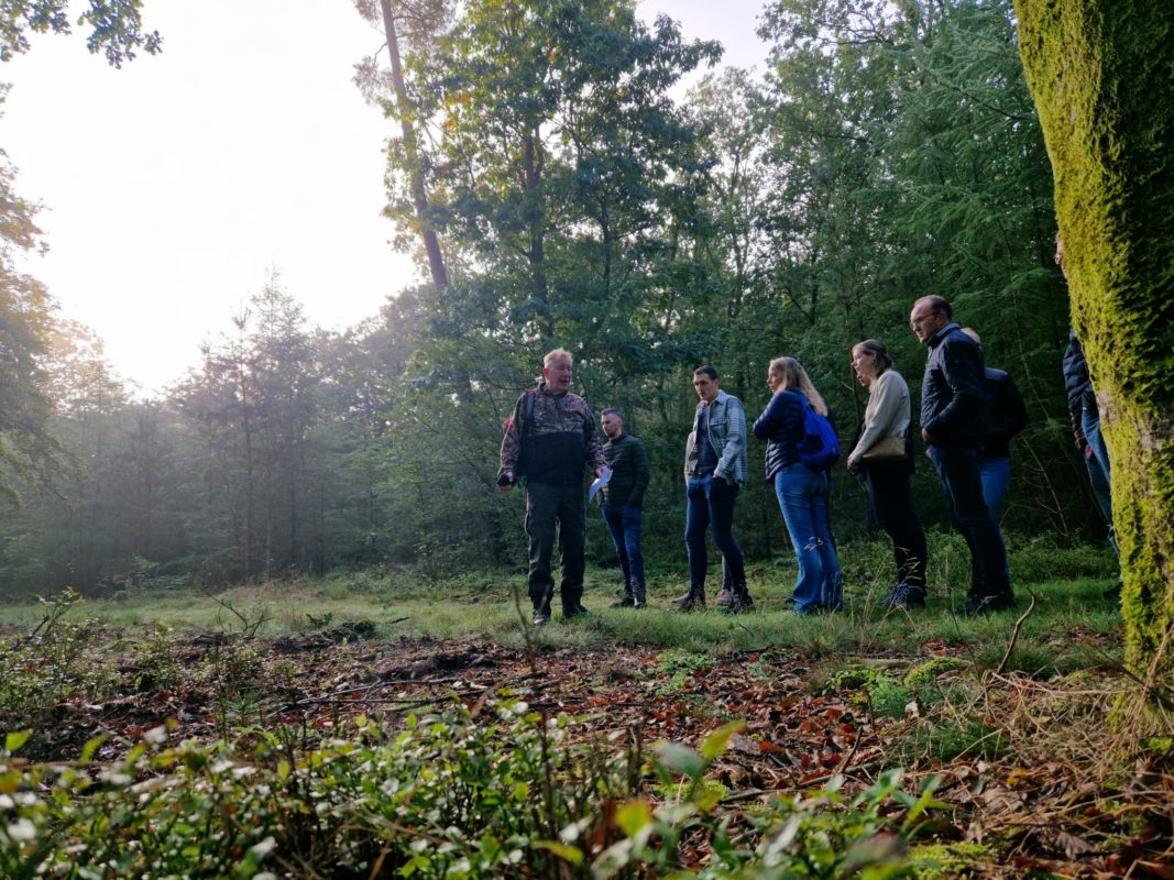 Wildbeleving op de Veluwe